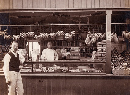 Coming to America: The Chinese in the 19th Century